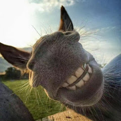 Jiu002 JNアイコン画像