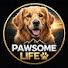 OeH1hVHuSV8-channel-avatar-Pawsome Life