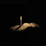 QDy7F0kKYTc-channel-avatar-Fall Asleep With The Saints