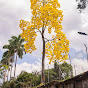 alejopinto5904