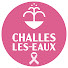 TV6o5UZIhfs-channel-avatar-Ville de Challes-les-Eaux