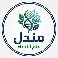 Eltawfiq