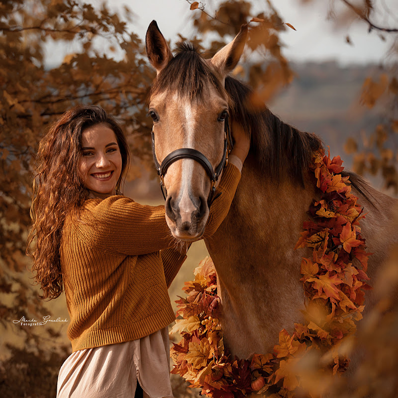 Dancinghorses