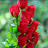 @NadiraKhatun-c2w