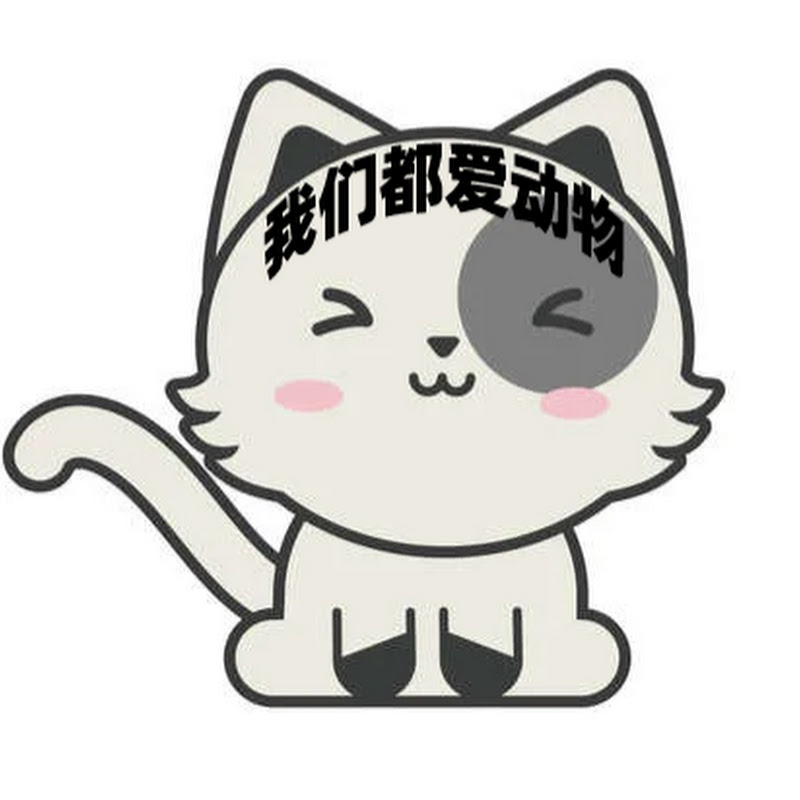 我们都爱动物