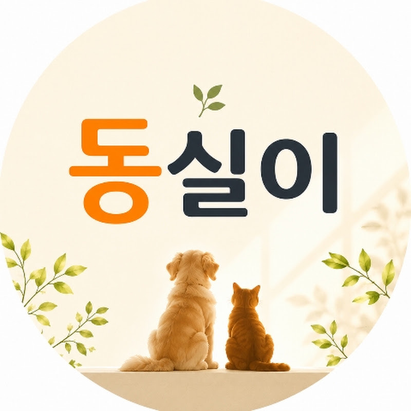 동실이 avatar