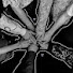 Ka5Zi0kZNnM-channel-avatar-Bangtan Labels