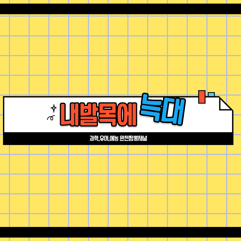 내발목 avatar