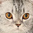 @euro_cat