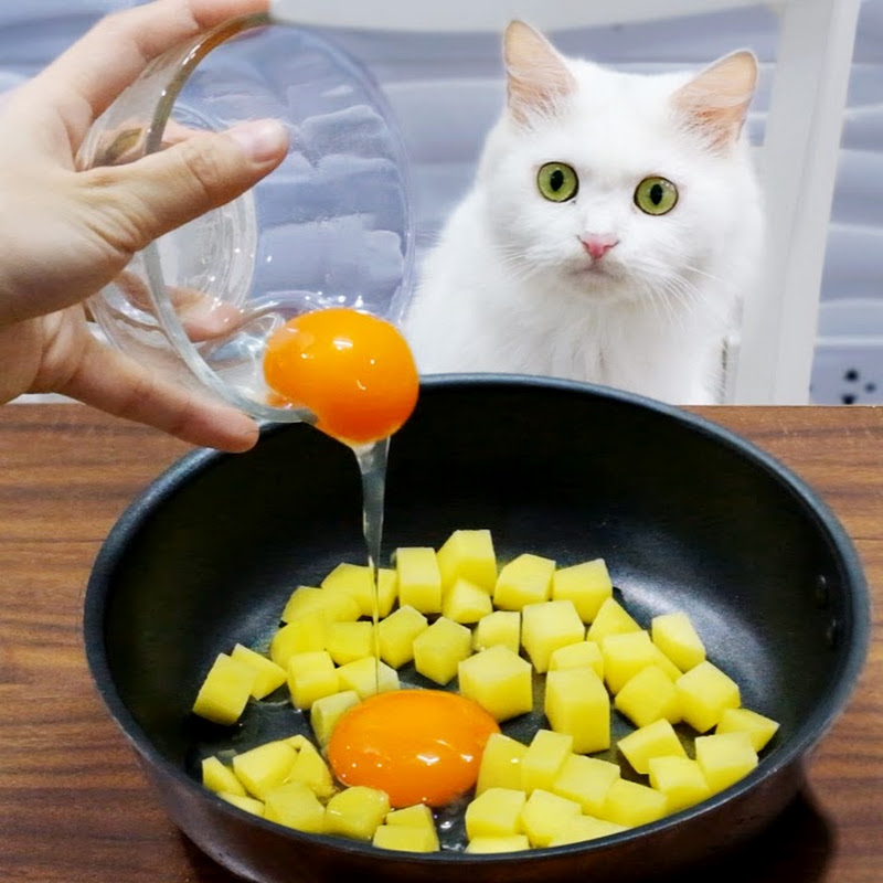 Moony The Cat YouTubeチャンネル画像