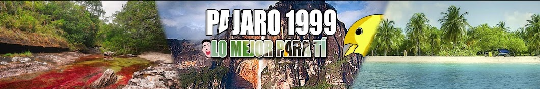 Pajaro 1999 YouTube 频道头像