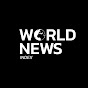 World News Index logo