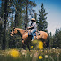 TfGoGb-nm_g-channel-avatar-Driftstone Ranch