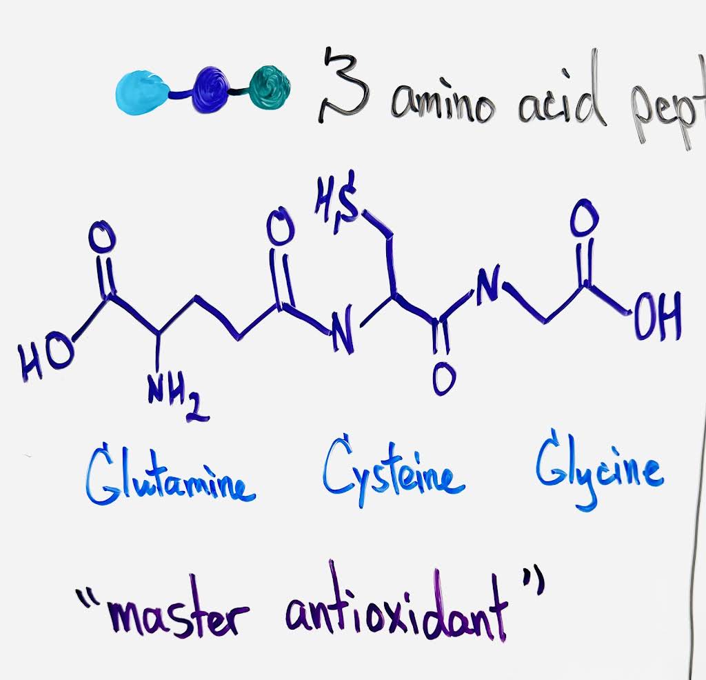 3 amino acids in glutathione YouTube