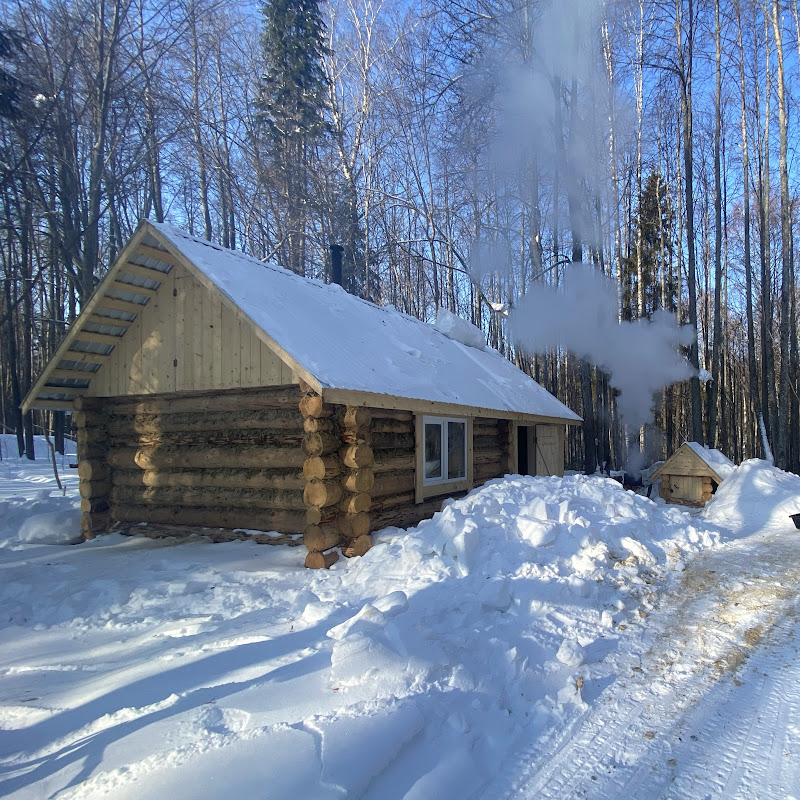 Alone with Wildlife: Life & Craft Logo