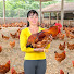 CJa2LXNuQ8s-channel-avatar-Phương Cosecha y Granja