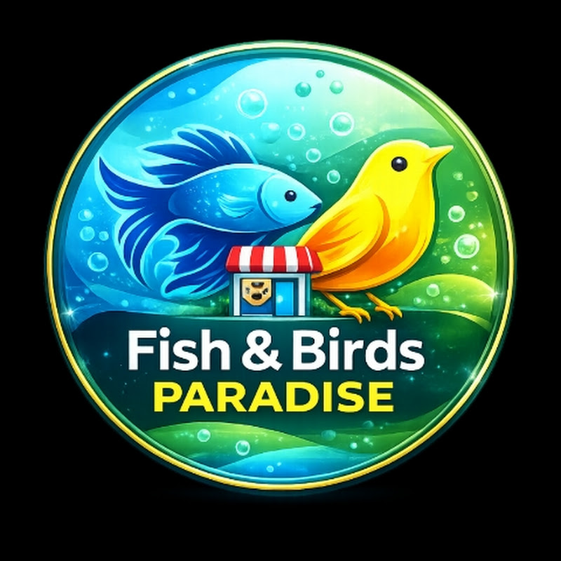 Fish & Birds Paradise