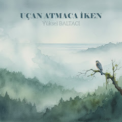 Yüksel Baltacı - Topic