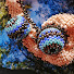 Cxo5IElpHIg-channel-avatar-Bisuteriando con Ana