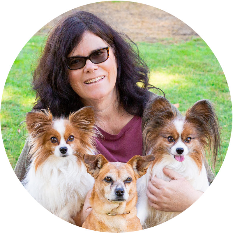 Holistic Vet