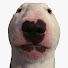 NyR7X9yIZT8-channel-avatar-SillySyrup