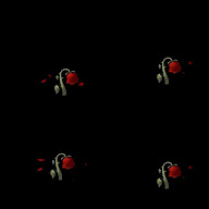 thumbnail img1x1
