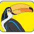 XSTppSVdpLg-channel-avatar-Pinturas Tucan
