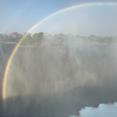 Alin Travels the Worldアイコン画像