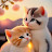 @AhmedSabra33