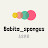 Babita_sponges 