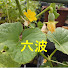 アイコン