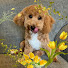 1Oyky8Nbcnc-channel-avatar-Susan Bradney Card Creations