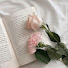 8aLnzrSnvpw-channel-avatar-Journals of A
