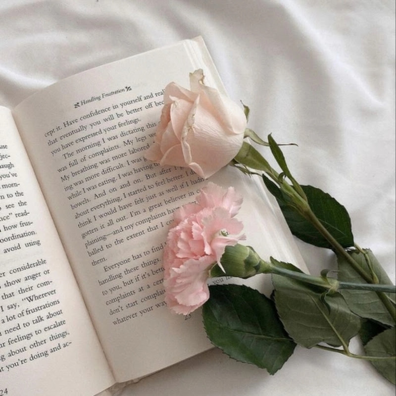 Journals of A
