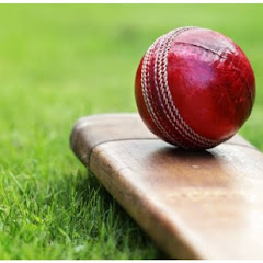 cricket facts