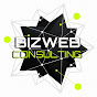 BizWeb Consulting logo