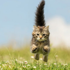 おとなの青春朗読劇