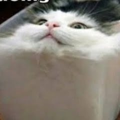 GAK_JELAS,Channel_[MEME] avatar