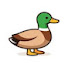 ok9wG-8TZh8-channel-avatar-Mallo