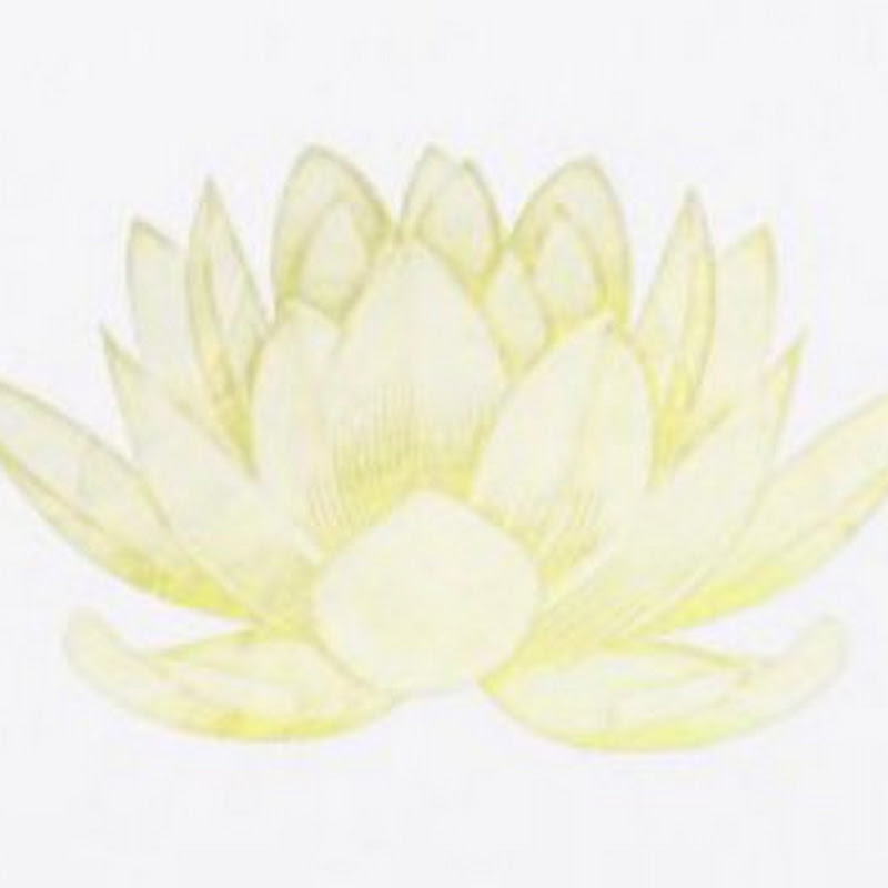 Laura Catherine Yoga & Wellness 