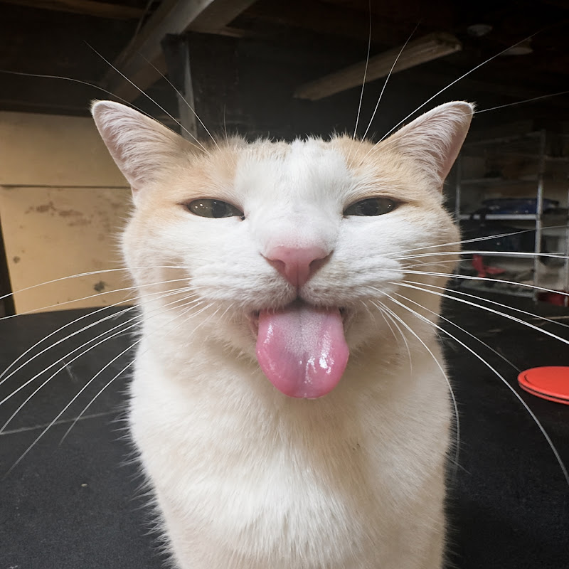 MrDrik