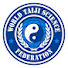 pyFdo009N2c-channel-avatar-Taiji Science Federation