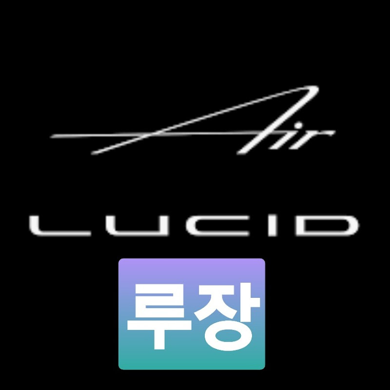 루장(루시드 장기투자)