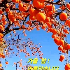🐇감나무언니💕자유(라이브)