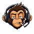 ZNN2G7bnO6g-channel-avatar-Monkey Rags
