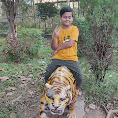 arsh boss king