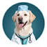 fzyG_Dm08pM-channel-avatar-Labrador Noah