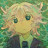 @one-for-all-Zakura