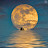 Avatar photo