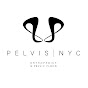 Pelvis NYC logo